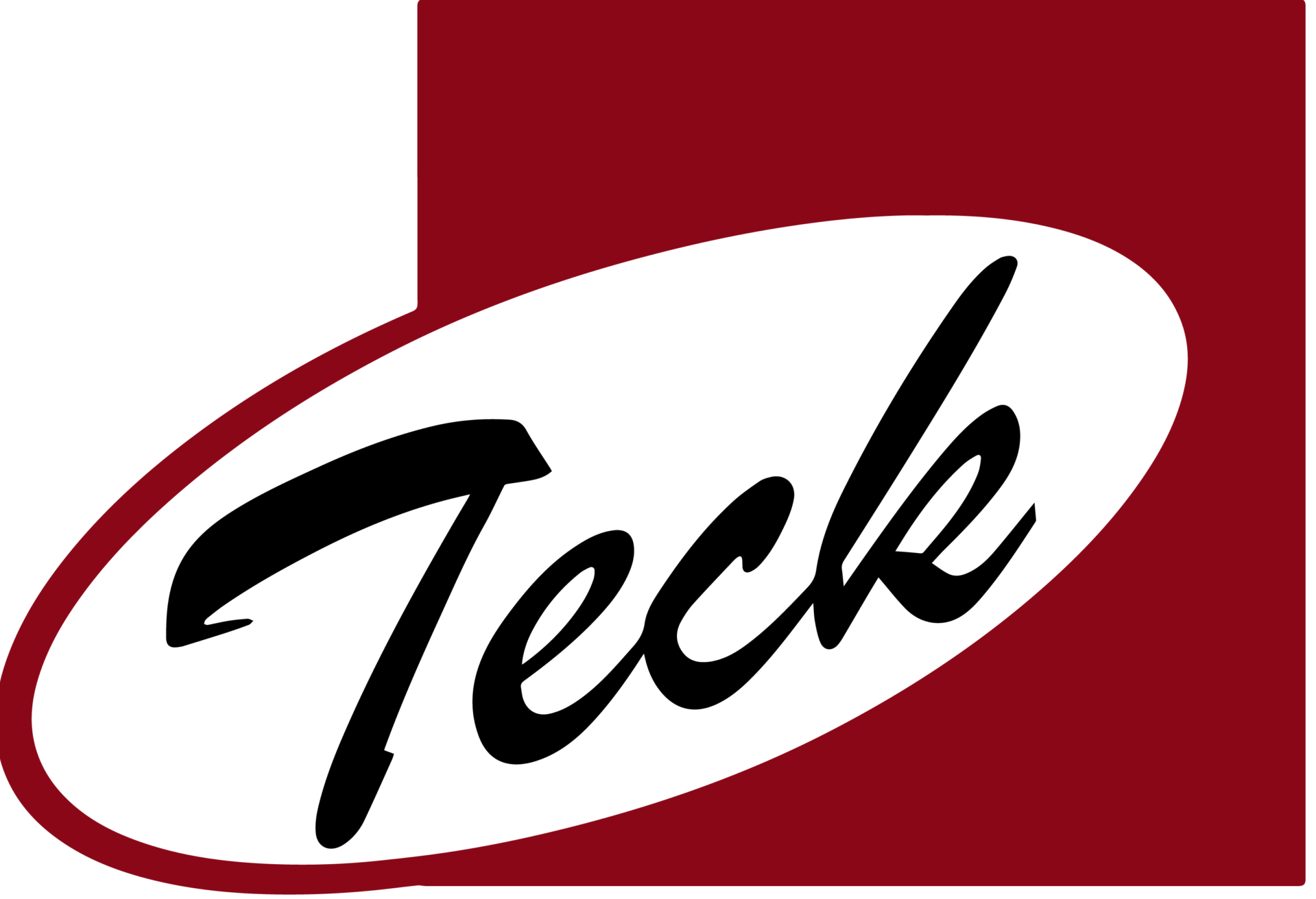 teck logo 03